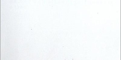 fg001