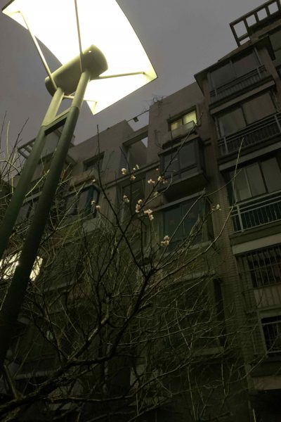 微信图片_20200209005011