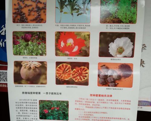 53f4f747f4fd550a137c11edef616f0 53f4f747f4fd550a137c11edef616f0