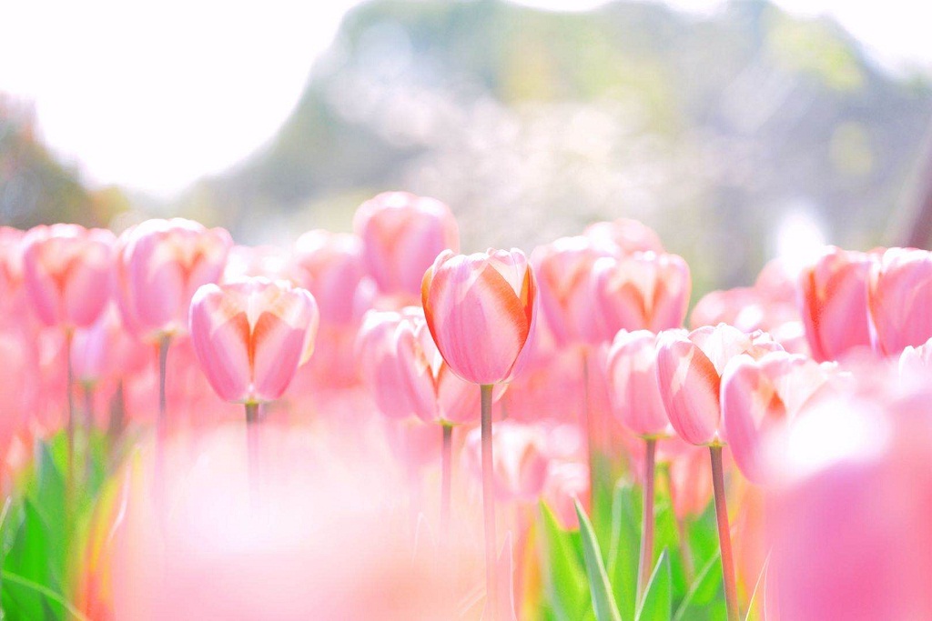 IMG_2388(20200523-091307)