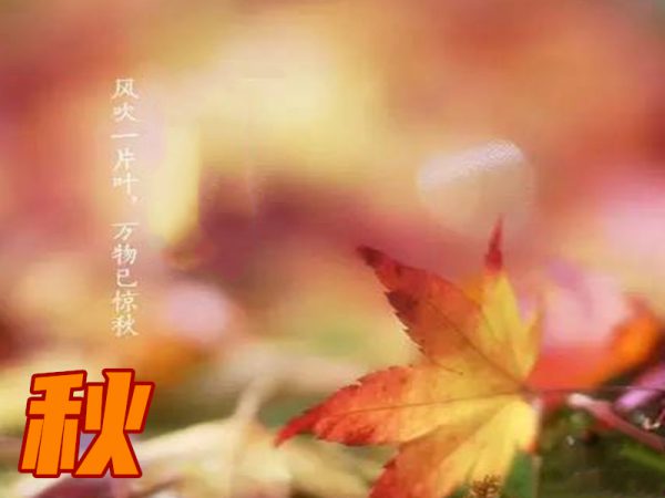 微信图片_20200807184621