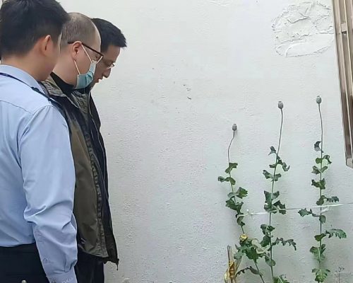 微信图片_202305101619467_副本