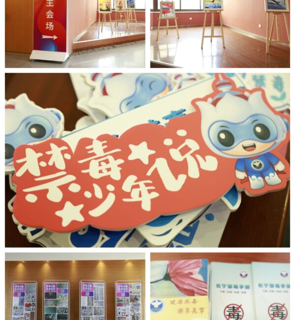 展示合集