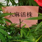用微信图片_24_副本