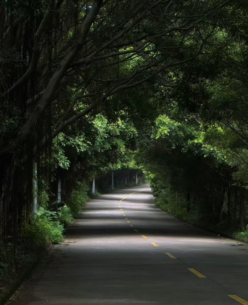二十六岁那年夏天，小超在物流公司上班，每日下班都被一身酸痛缠裹。工友老赵递来一支“特别”的烟，眼神神秘：“试试这个，能消所有累。”他犹豫片刻接了过来——那烟确实驱散了疲惫与现实的不如意，却在次日卷着加倍的疲惫与蚀骨的渴望反扑。从此，小超陷入了毒品的泥沼。