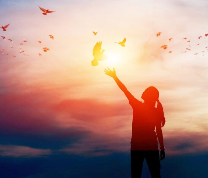 b9e431cce449ef2ce2ea0151eabe074